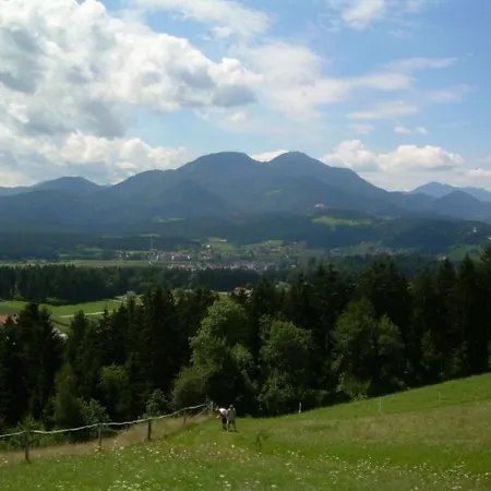 Rozika By Interhome Apartment