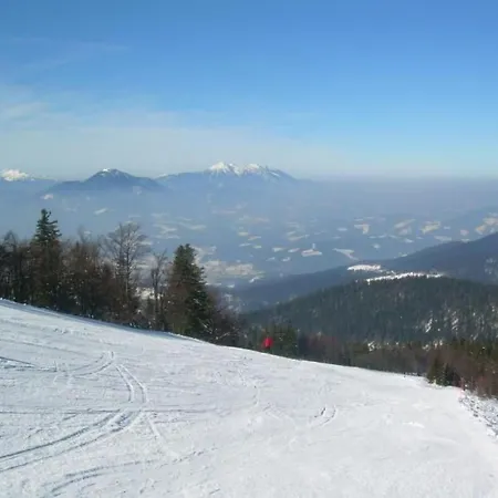 Rozika By Interhome Apartment Slovenj Gradec