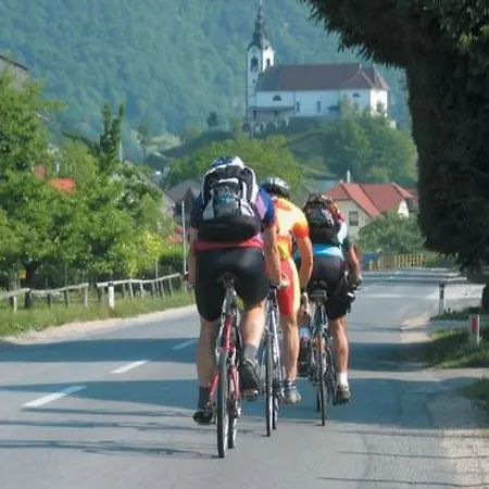 Rozika By Interhome * Slovenj Gradec