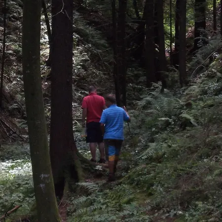 Apartamento Rozika By Interhome Slovenj Gradec