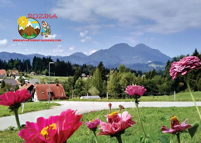 Appartement Rozika By Interhome Slovenj Gradec
