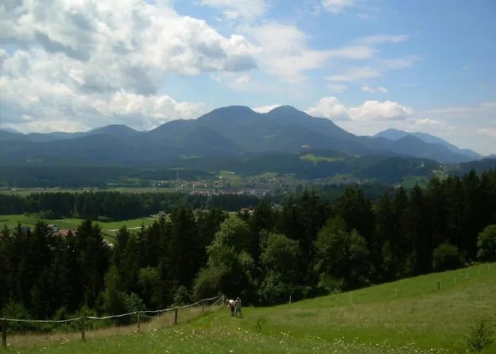 Rozika By Interhome Apartament