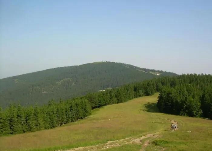 Rozika By Interhome * Slovenj Gradec