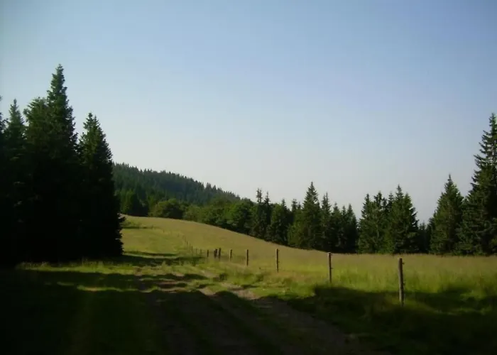 Rozika By Interhome * Slovenj Gradec