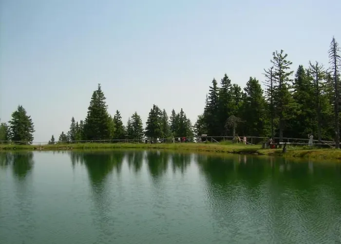 Rozika By Interhome Slovenj Gradec