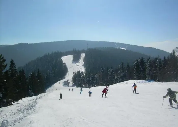 Rozika By Interhome Appartement