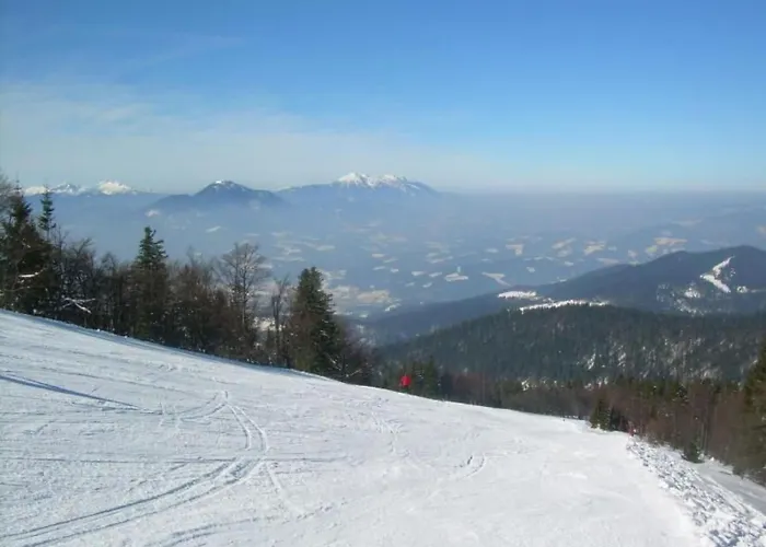 Rozika By Interhome Apartment Slovenj Gradec