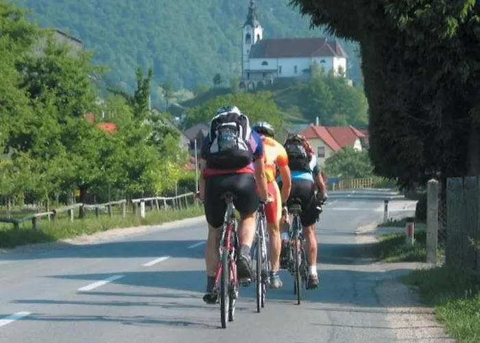 Rozika By Interhome * Slovenj Gradec