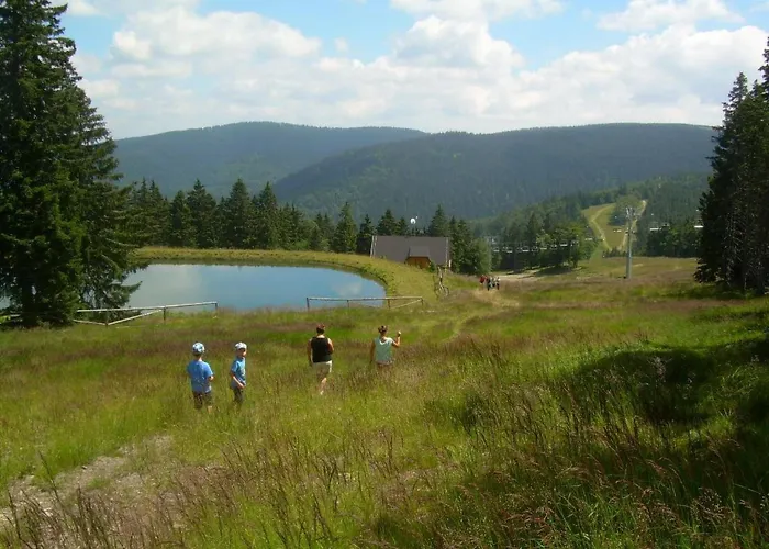 Rozika By Interhome Appartement