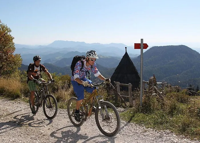 Rozika By Interhome Apartment