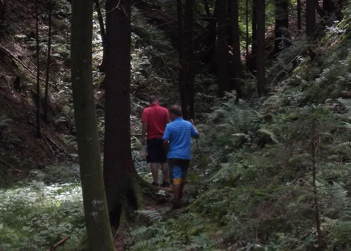 Apartament Rozika By Interhome Slovenj Gradec